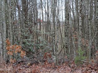 E Loomis Loop Rd, Jamestown, TN 38556