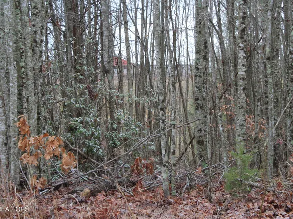 E Loomis Loop Rd, Jamestown, TN 38556