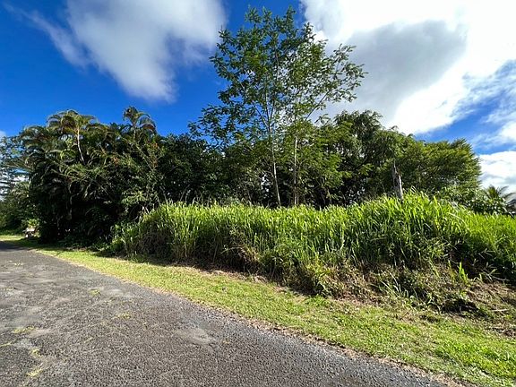 2nd image of N Kawakawa St