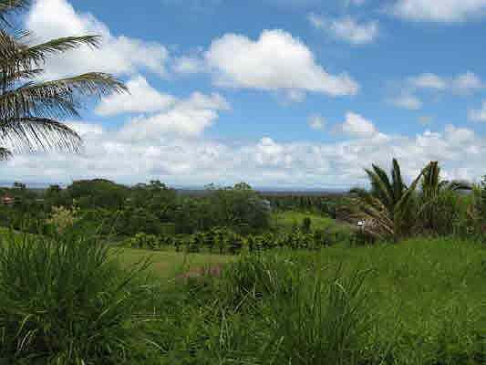2nd image of 17-203 Meaulu St