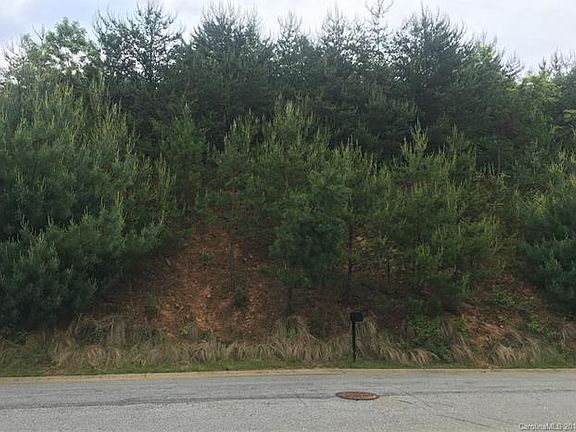 4th image of 99999 Climbing Aster Way #57