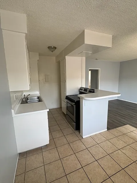 1 bed, 600 sqft, $1,650 — Photo 3