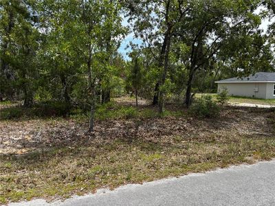 Malauka Place Trl Lot 6, Ocklawaha, FL, 32179