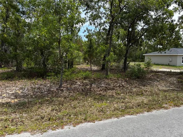 Malauka Place Trl Lot 6, Ocklawaha, FL 32179