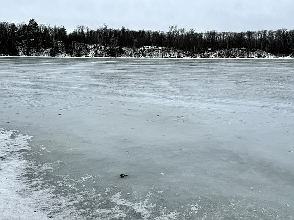 3rd image of 34235 Moose Dr