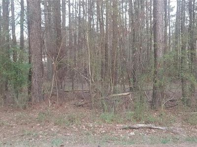 0 Roy North Rd, Carrollton, GA, 30117