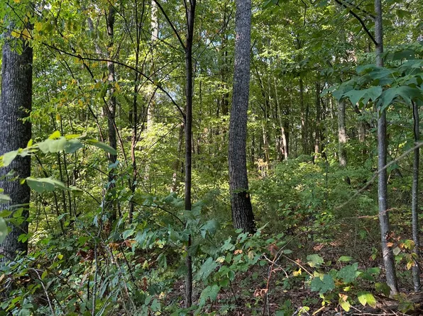 0 Trailwood Dr, Ellijay, GA 30536