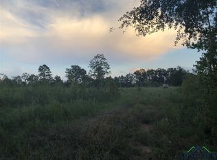 455 Cr, Carthage, TX 75633