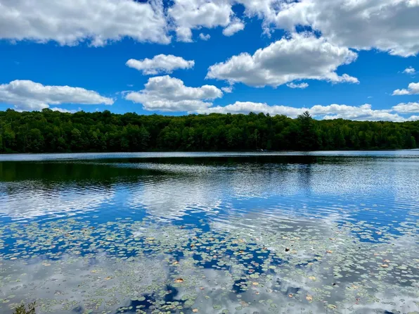 Beaver Station Rd, Watersmeet, MI 49969