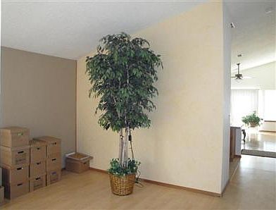 2nd image of 7721 Primrose Dr NW