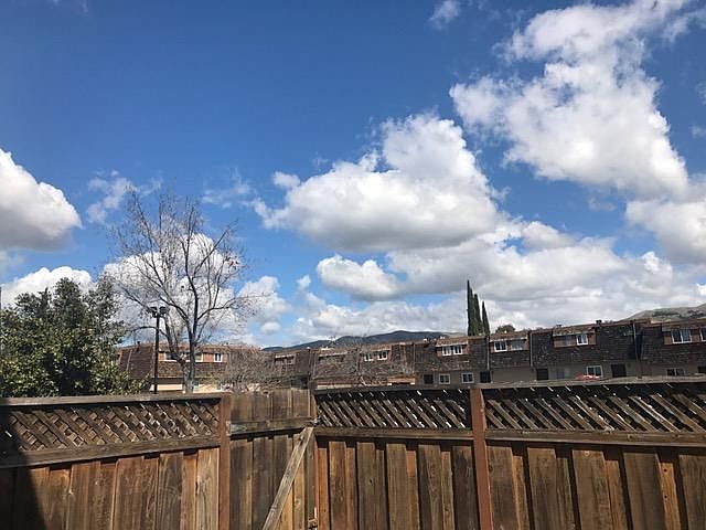View from patio