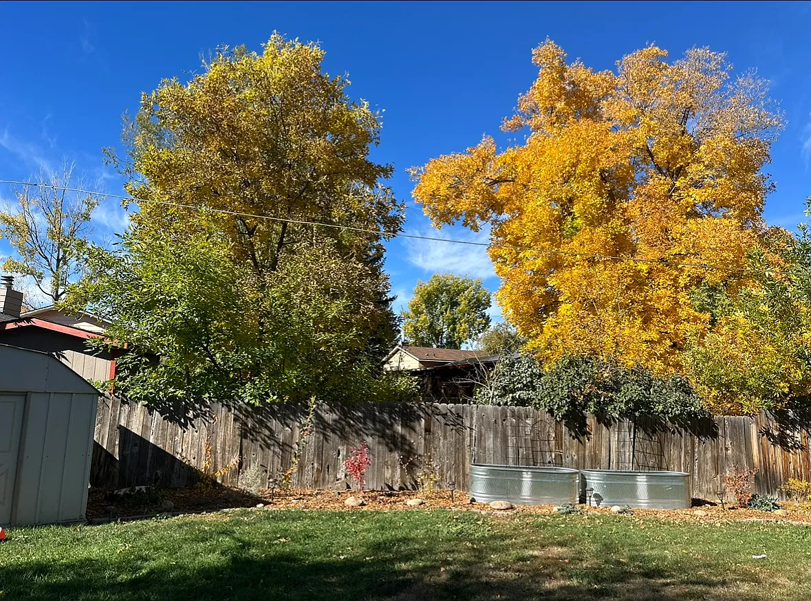 4 bed, 2084 sqft, $2,750 — Photo 3