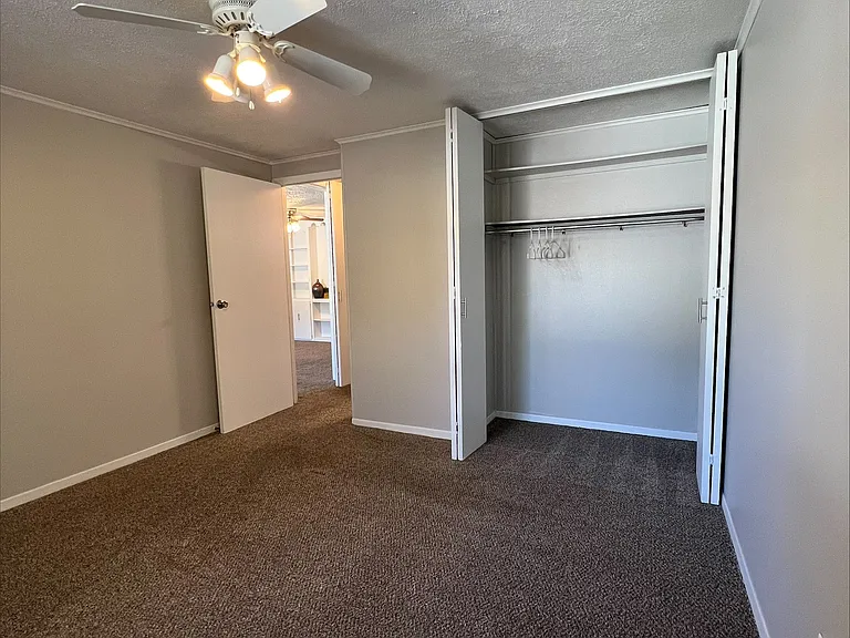 Treeborn Apartments — Photo 33