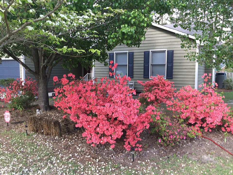 2nd image of 5599 One Putt Ln
