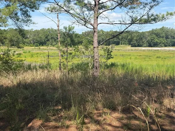 TBD GUAVA TERRACE LOT 11, OCKLAWAHA, FL 32179