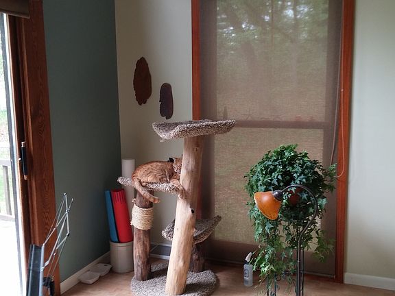 Sunny pastoral views