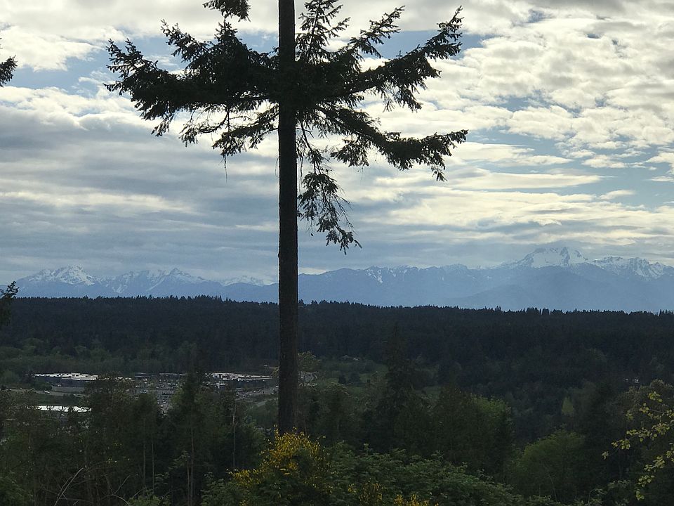 View from back deck