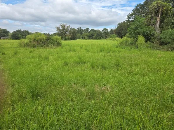 Highway 1065 Acres #4.42-2, Tickfaw, LA 70466