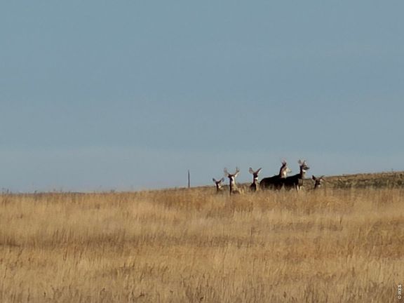 3rd image of 43 DD Rd