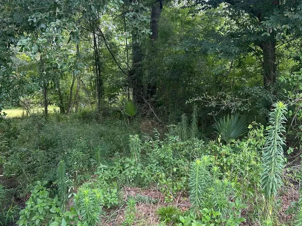 LOT 40 Henderson Ln Lot 40, Walker, LA 70785
