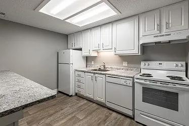 Elmwood Apartments — Photo 15