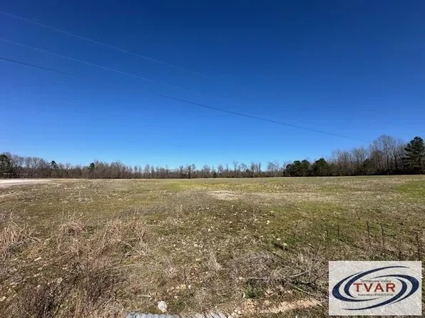 173 McIllwain Rd N, Holladay, TN 38341