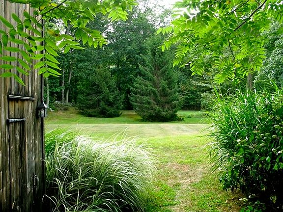 Large private backyard