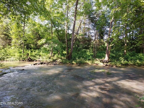 Pawpaw Rd, Thorn Hill, TN 37881