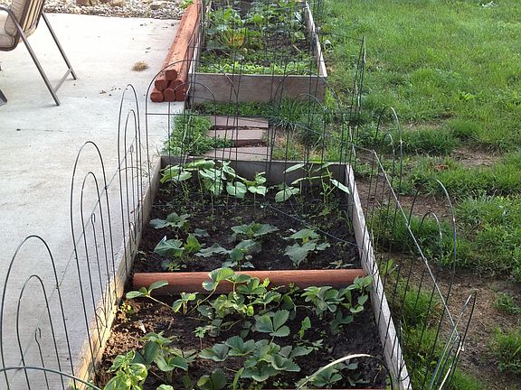 Both Garden beds and fence