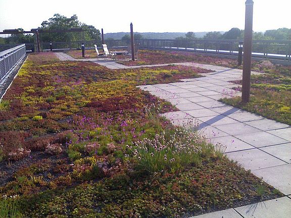 Green Roof