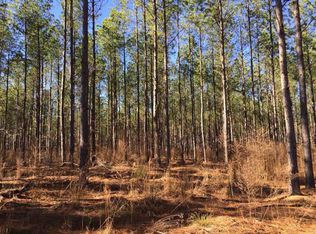 Bethany Church Rd, Greensboro, GA 30642