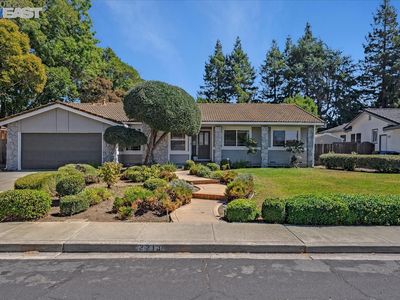 2213 Brampton Rd, Walnut Creek, CA, 94598
