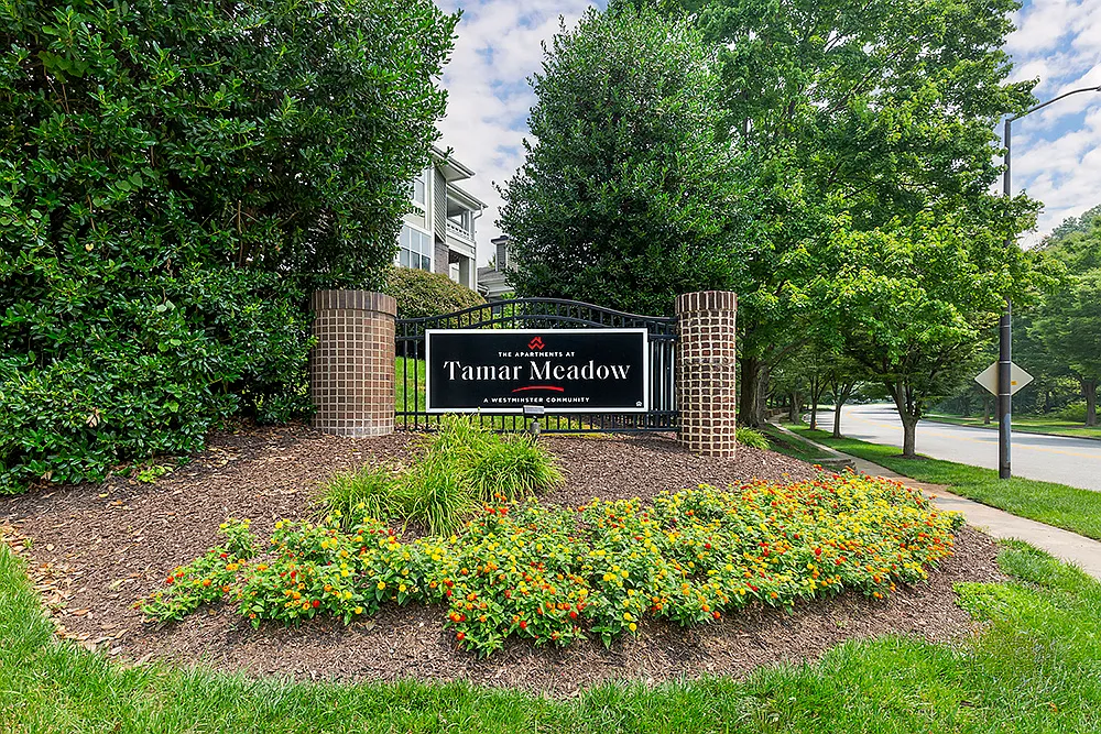 The Apartments at Tamar Meadow — Photo 4