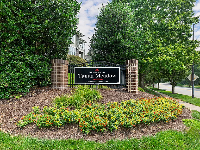 The Apartments at Tamar Meadow — Photo 4