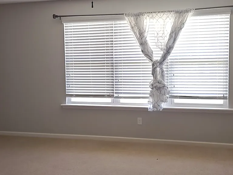 1172 Wetland Ridge Cir — Photo 8
