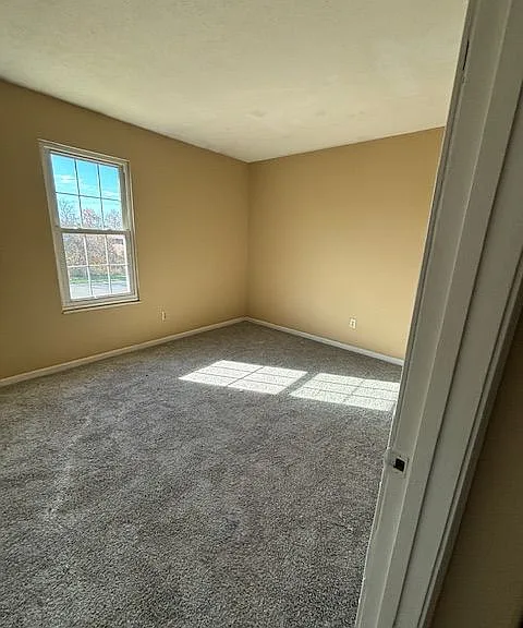 409 Shelby Ave #3 — Photo 3