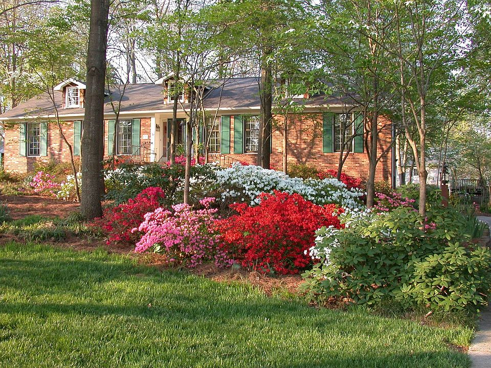 Spring in NC