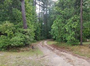 319 Laura Brodie Rd, Leesville, SC 29070
