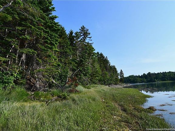 3rd image of Welshpool Back Rd