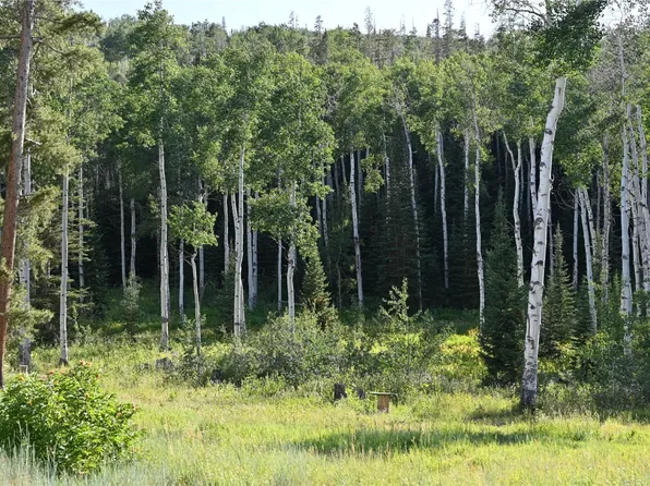 21525 Green Ridge Ct, Oak Creek, CO 80467