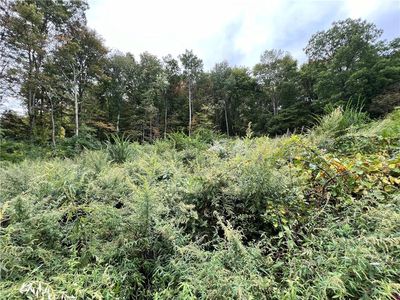 507 Halls Corners Road, Dover Plains, NY, 12522