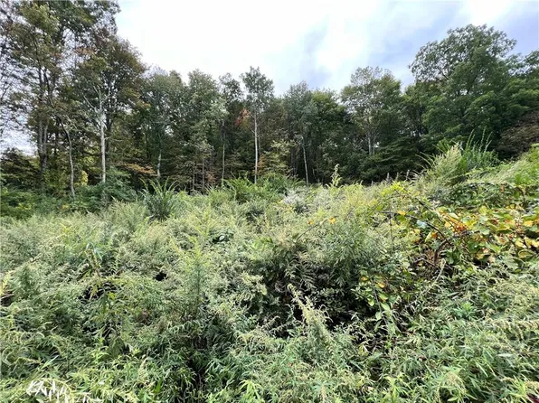 507 Halls Corners Road, Dover Plains, NY 12522