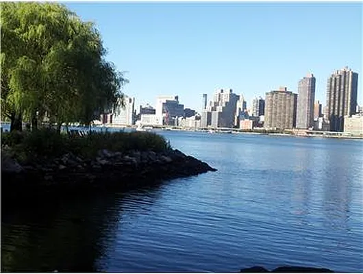 Rented by Douglas Elliman | media 18