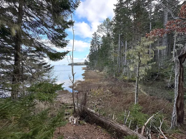 102 Naskeag Point Road, Brooklin, ME 04616