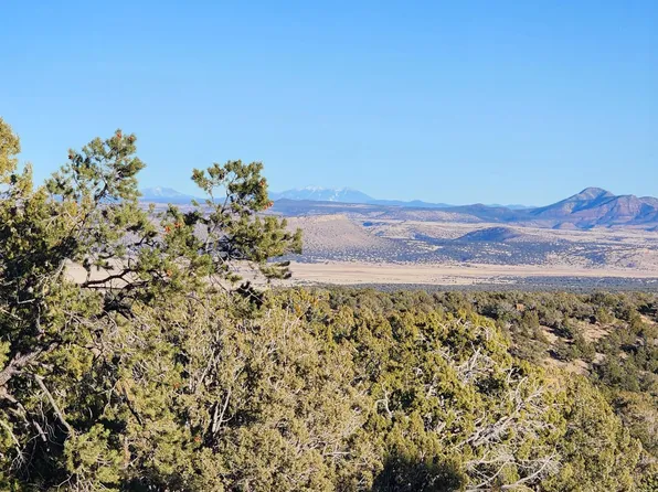 506 N High Sierra Rd, Seligman, AZ 86337