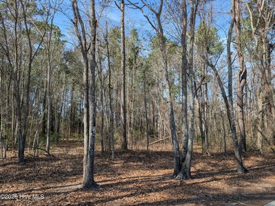 (Undisclosed Address), Wallace, NC, 28466