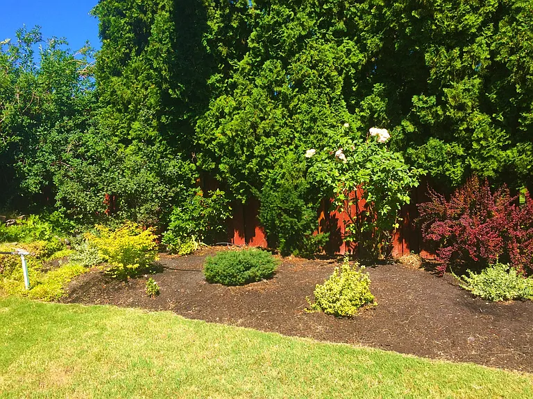 Fantastic backyard to relax and play in.