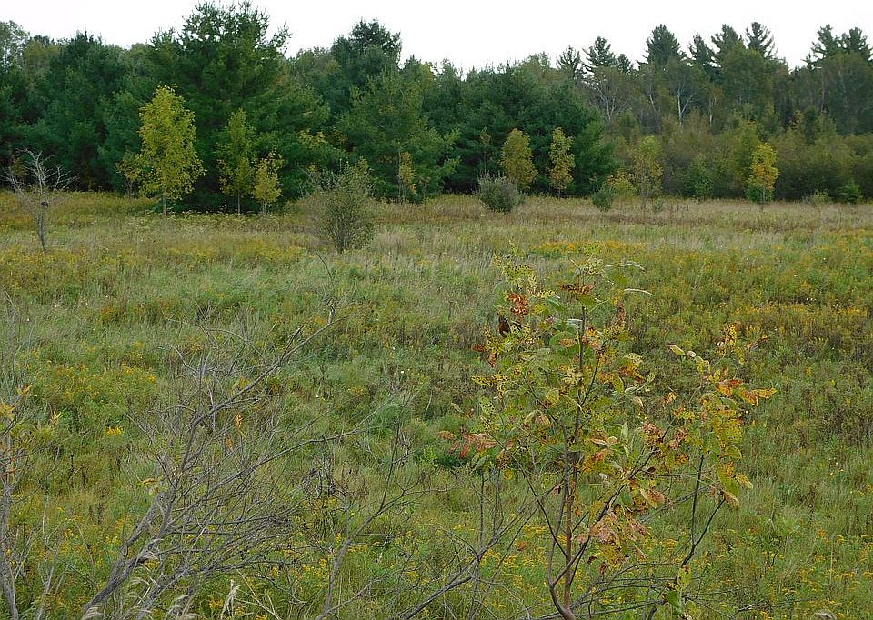 2nd image of 3345 S Barlow Rd