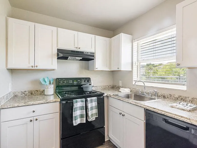 Apartment Kitchen