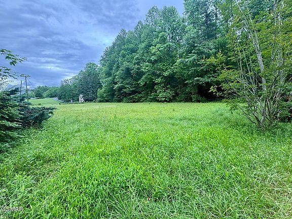 2nd image of 0 Glades Rd